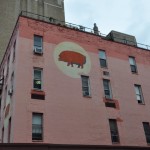 nyc #06 - a pig on the moon?